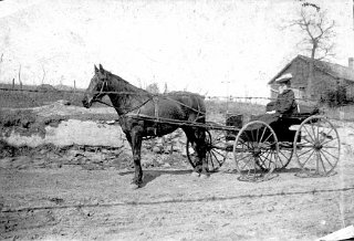 Inez Kilgore with horse and buggy.